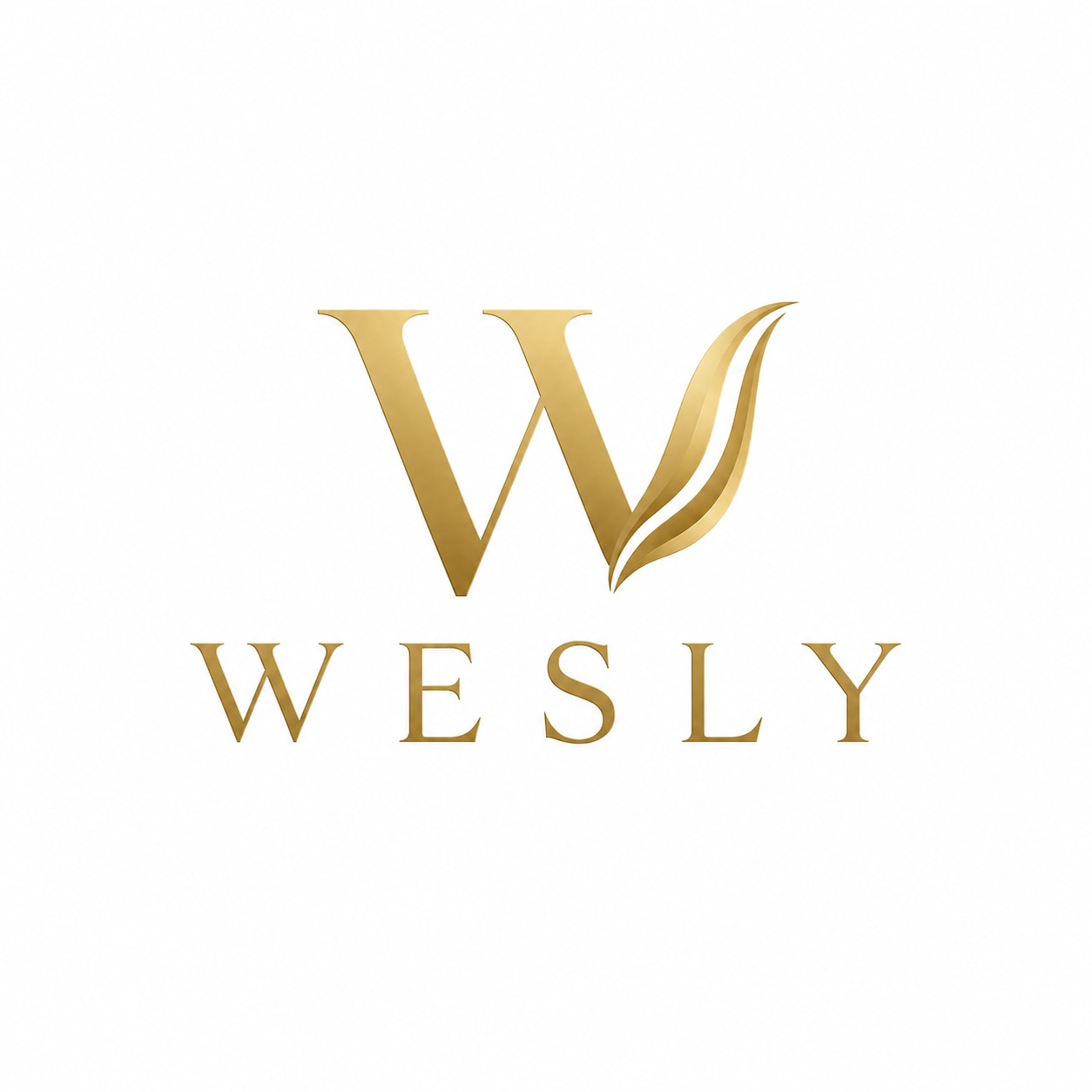Wesly Clothing Store Logo